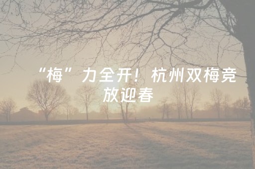 3分钟学会“麻友圈2辅助器免费下载（助赢神器通用版）