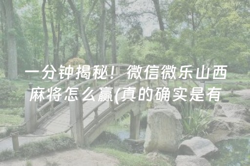 玩家必备教程“麻将机控牌器怎么安装（专用辅牌神器免安装）