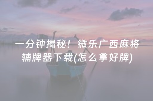 一分钟揭秘！微乐广西麻将辅牌器下载(怎么拿好牌)