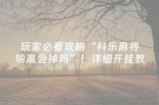 玩家必备教程“微乐斗地主透视神器怎么安装（助赢神器通用版）