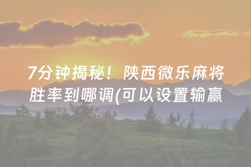 实测辅助“广东雀神智能插件安装包（专用辅牌神器免安装）