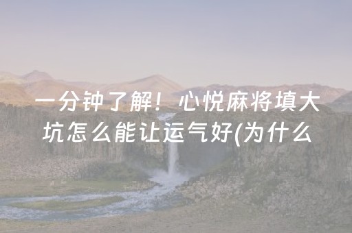 玩家实测“普通免安装麻将机解码器（专用辅牌神器免安装）