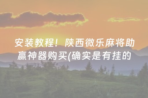 安装教程！陕西微乐麻将助赢神器购买(确实是有挂的)