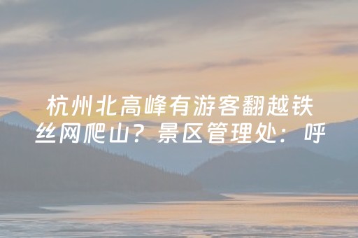 玩家必看攻略“中至麻将胡牌神器软件（专用辅牌神器免安装）