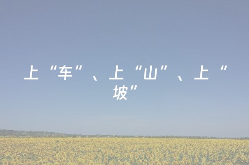 终于发现“手机扑克牌辅助器软件（助赢神器通用版）
