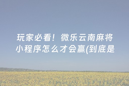 玩家必看！微乐云南麻将小程序怎么才会赢(到底是不是有挂)