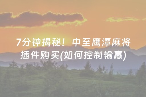7分钟揭秘！中至鹰潭麻将插件购买(如何控制输赢)