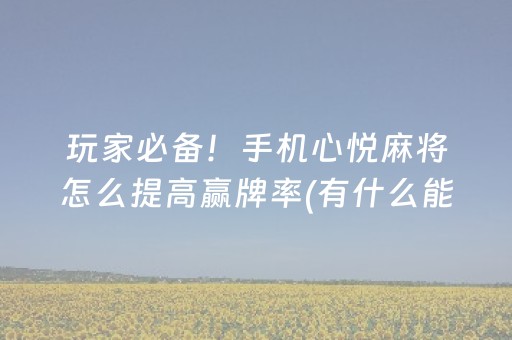 实测结果“微乐麻将100%能赢的神器（专用辅牌神器免安装）