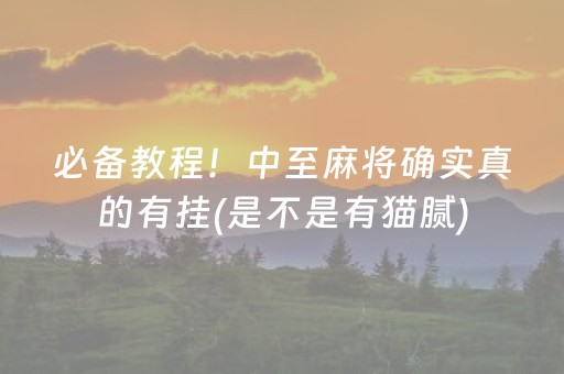 必备教程！中至麻将确实真的有挂(是不是有猫腻)