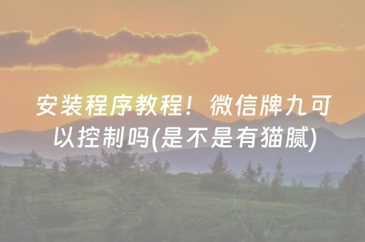 必看教程“微信小程序雀神辅助器免费下载（专用辅牌神器免安装）