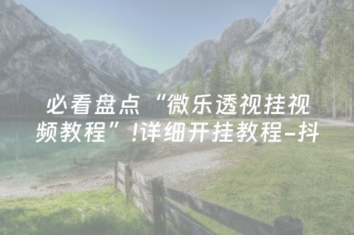 必看盘点“微乐透视挂视频教程”!详细开挂教程-抖音