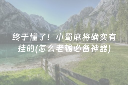 终于懂了！小蜀麻将确实有挂的(怎么老输必备神器)
