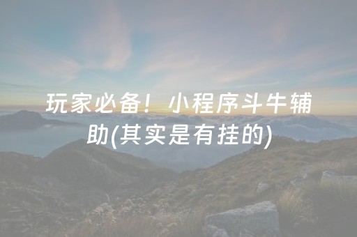 玩家必备！小程序斗牛辅助(其实是有挂的)