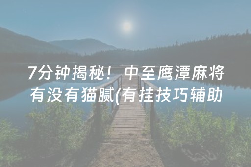 玩家必看攻略“中至手机麻将助赢神器（助赢神器通用版）