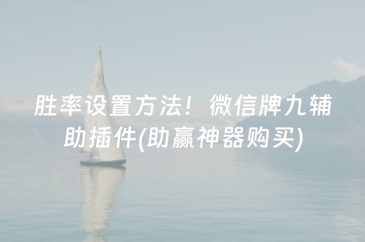 玩家必看攻略“微乐斗地主透视神器怎么安装（专用辅牌神器免安装）