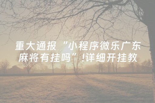 实测结果“微乐四川麻将小程序怎么拿好牌”（详细透视教程）-哔哩哔哩
