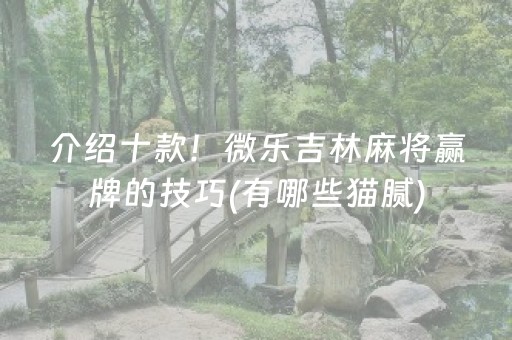 胜率设置方法“微乐陕西挖坑怎么能拿到好牌”（详细透视教程）-哔哩哔哩