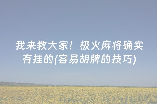 必看教程“兴动麻将软挂神器（助赢神器通用版）