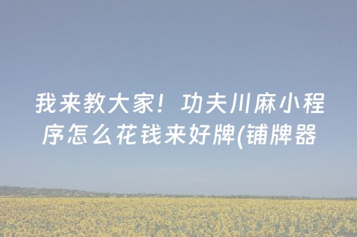 我来教大家！功夫川麻小程序怎么花钱来好牌(铺牌器购买)