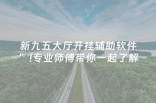 新九五大厅开挂辅助软件”!专业师傅带你一起了解（详细教程）-抖音