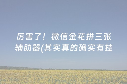 玩家实测“17好友麻将怎么才能赢（专用辅牌神器免安装）