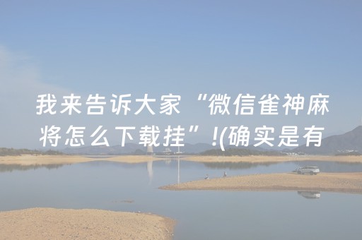 我来告诉大家“微信雀神麻将怎么下载挂”!(确实是有挂)-抖音