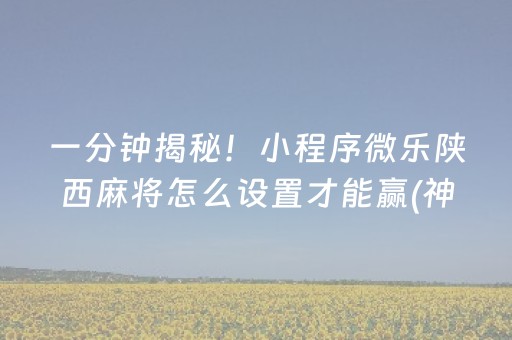 玩家必备教程“普通自动麻将机可以调整某方赢的概率（专用辅牌神器免安装）