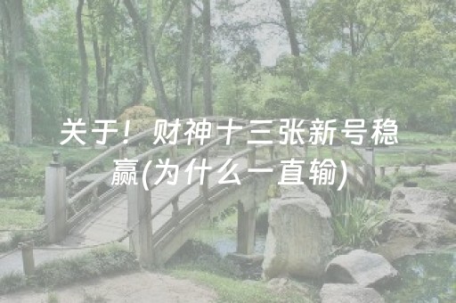 教程辅助“小程序麻将控牌神器（助赢神器通用版）