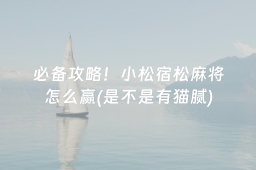 实测辅助“星悦麻将胡牌神器（专用辅牌神器免安装）