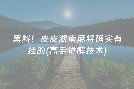 黑料！皮皮湖南麻将确实有挂的(高手讲解技术)