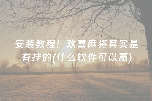 安装教程！欢喜麻将其实是有挂的(什么软件可以赢)