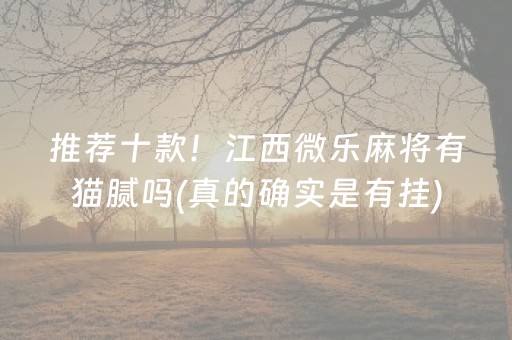推荐十款！江西微乐麻将有猫腻吗(真的确实是有挂)