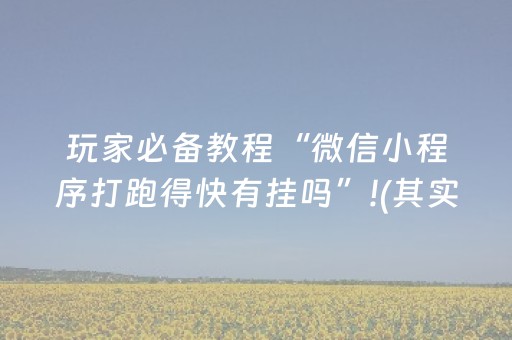 玩家必备教程“微信小程序打跑得快有挂吗”!(其实确实有挂)-抖音