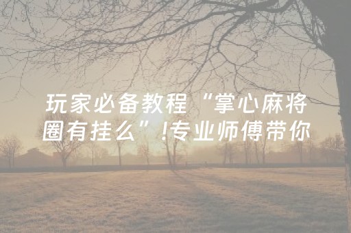 玩家必备教程“掌心麻将圈有挂么”!专业师傅带你一起了解（详细教程）-抖音