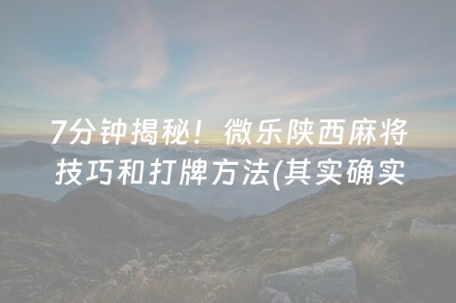7分钟揭秘！微乐陕西麻将技巧和打牌方法(其实确实有挂)