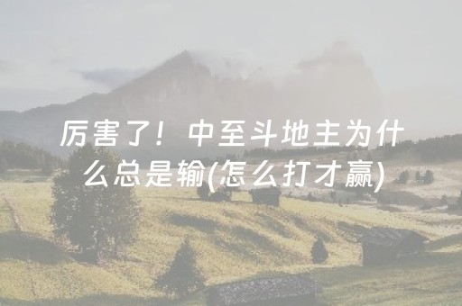 厉害了！中至斗地主为什么总是输(怎么打才赢)