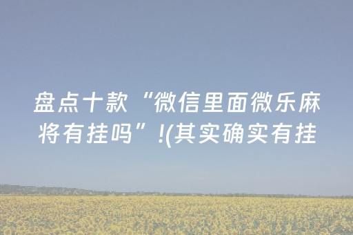 盘点十款“微信里面微乐麻将有挂吗”!(其实确实有挂)-抖音