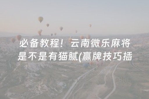 必备教程！云南微乐麻将是不是有猫腻(赢牌技巧插件安装)