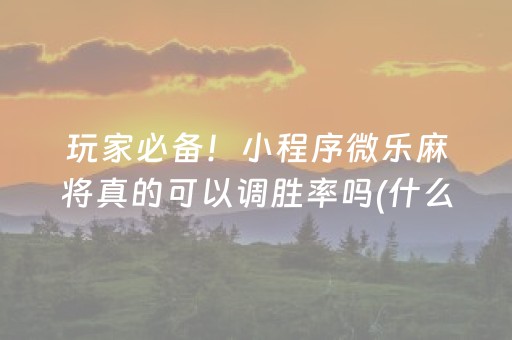 教程辅助“微乐捉鸡麻将铺牌器购买（助赢神器通用版）