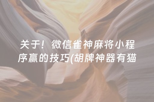 关于！微信雀神麻将小程序赢的技巧(胡牌神器有猫腻吗)
