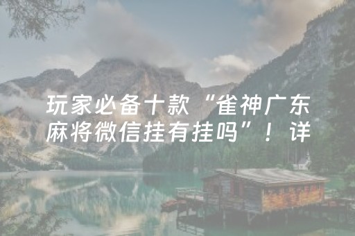 玩家必备十款“雀神广东麻将微信挂有挂吗”！详细开挂教程（确实真的有挂)-抖音