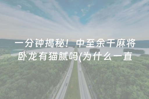 玩家必看教程！“手机红中麻将专用器”（详细透视教程）-哔哩哔哩