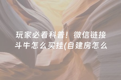 教程辅助“微乐手机麻将助赢神器购买（专用辅牌神器免安装）
