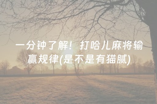 终于发现了“麻将机免装控牌器（助赢神器通用版）