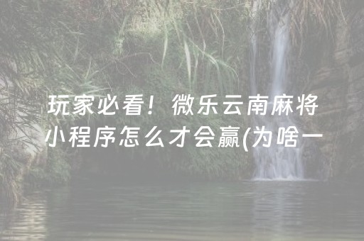 新版本“微乐湖北麻将怎么提高胜率”（详细透视教程）-哔哩哔哩