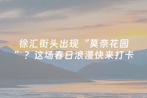 必看教程“微乐麻将老是输怎么搞提高胜率”（详细透视教程）-哔哩哔哩