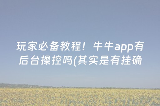 玩家必看攻略“微乐麻将神器680元（助赢神器通用版）