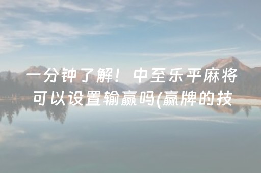 实测结果“中至吉安王炸辅助器（专用辅牌神器免安装）