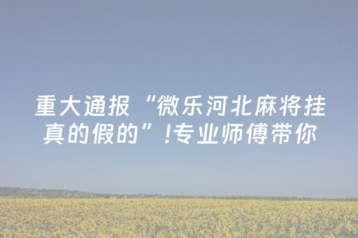 实测教程“微乐麻将铺牌器（助赢神器通用版）