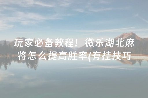 实测分享“微乐家乡麻将赢的攻略（助赢神器通用版）